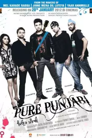 Pure Punjabi (2012)