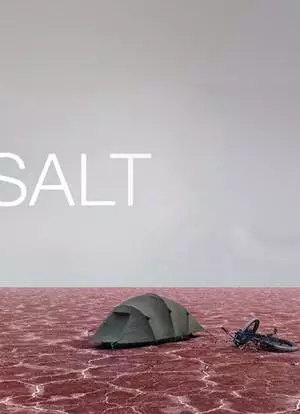 Соль (2009)