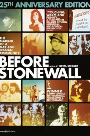 Перед Стоунвольскими бунтами: Становление гей-лесбийского сообщества (1984)