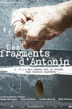 Фрагменты Антонина (2006)