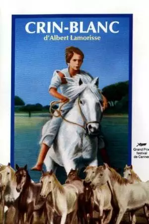 Белая грива: Дикая лошадь (1953)