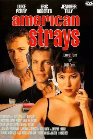 Американские бродяги (1996)