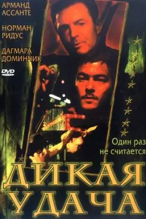 Дикая удача (2003)