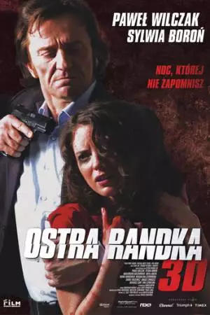 Жесткое свидание (2013)