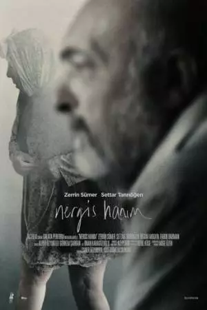 Госпожа Нергиз (2014)