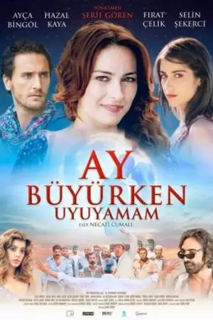 Я не могу спать, когда прибывает месяц (2011)