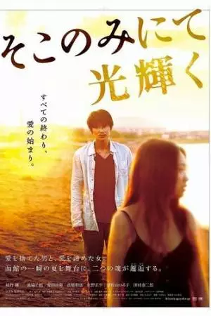 Лишь здесь остался свет (2014)