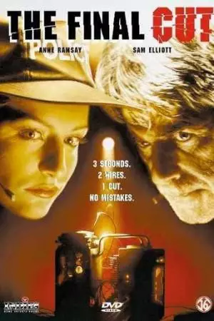 Последний провод (1995)