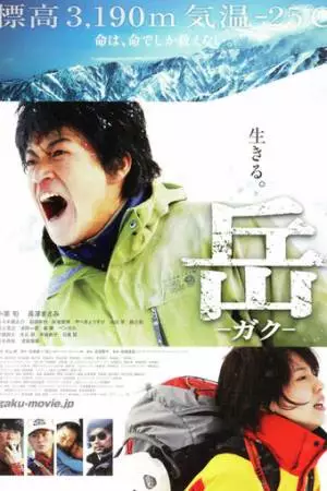 Вершина: Спасатели (2011)