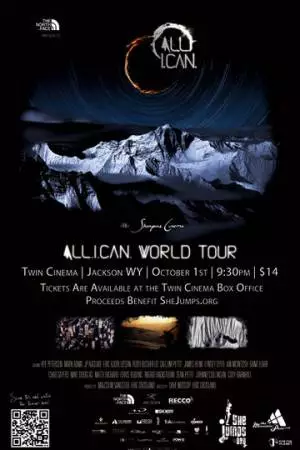 Всё что я могу (2012)