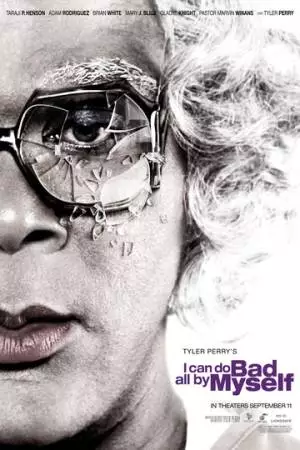 Мои собственные ошибки (2009)