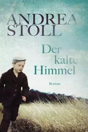 Холодные небеса (2011)