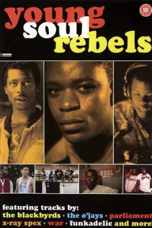 Молодые блюзовые бунтари (1991)