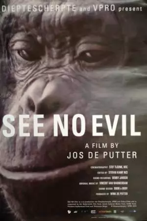 Не вижу зла (2014)