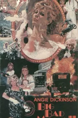 Нехорошая мамаша 2 (1987)