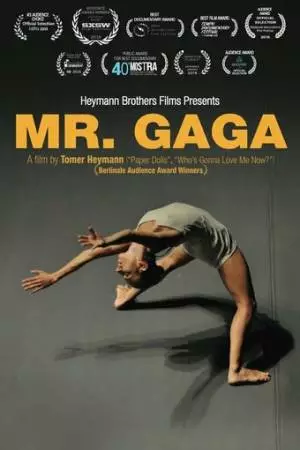 Мистер Гага (2015)