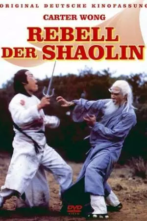 Предатель из Шаолиня (1977)