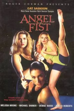 Кулак ангела (1993)