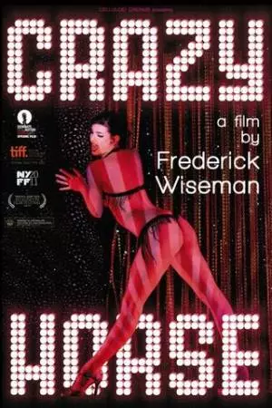 Дикая лошадь (2011)