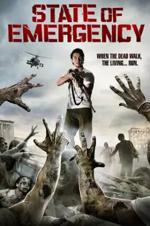 Чрезвычайное положение (2011)