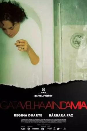 Старая кошка всё ещё мяукает (2013)