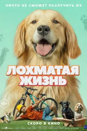 Лохматая жизнь (2023)