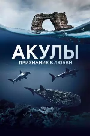 Акулы. Признание в любви (2022)