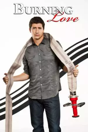 Жгучая любовь (2012)