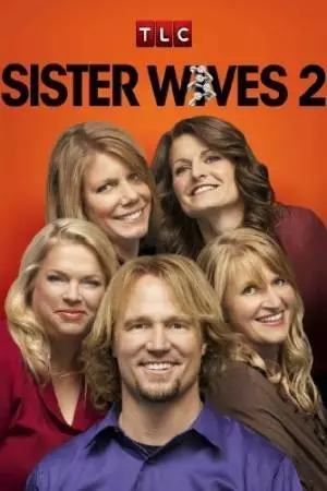 Многоженец (2010)