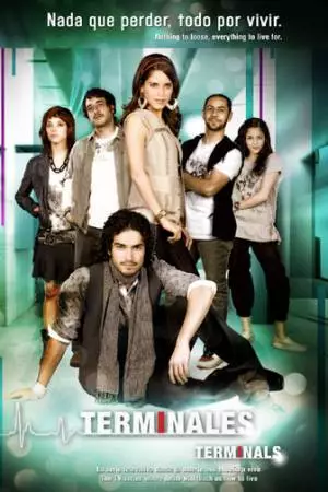 Терминал (2008)