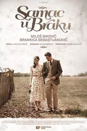 Женатый холостяк (2014)