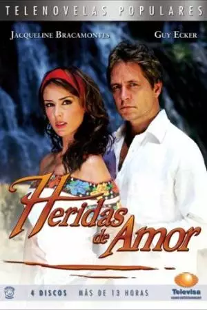 Раны любви (2006)