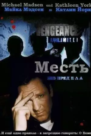 Месть без предела (1998)