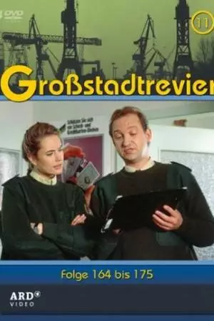 Полицейский участок большого города (1986)