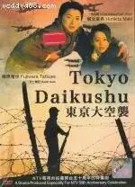 Токийская бомбардировка (2008)