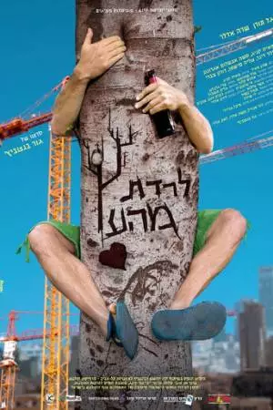 На ложном пути (2013)