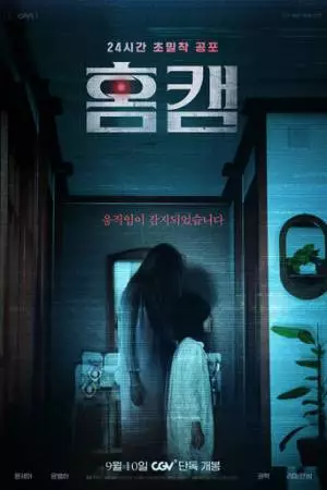 Домашняя камера (2025)