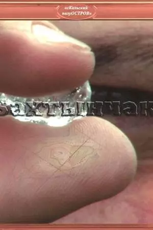 Бахтынчак (2010)