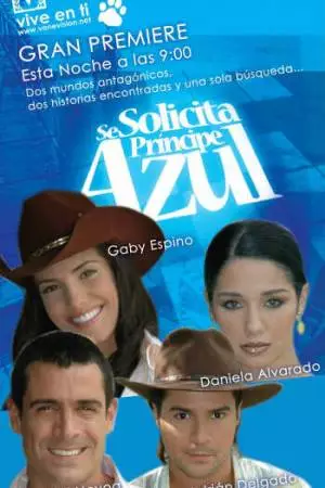 В поисках идеального мужчины (2005)