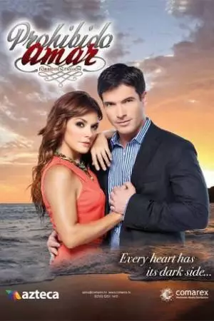 Запретная любовь (2013)