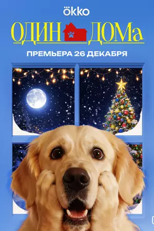 Догументалки (2025)