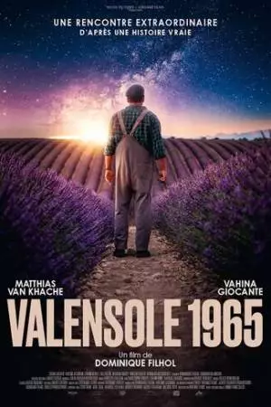 Valensole 1965 (2024)