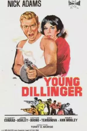 Молодой Диллинджер (1965)
