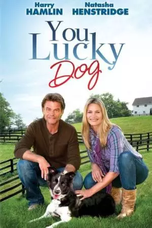 Везучий пёс (2010)