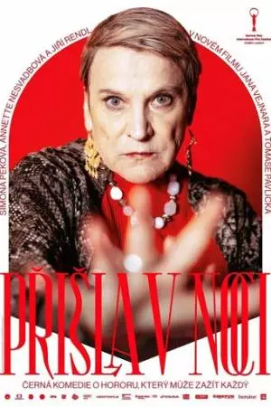Prisla v noci (2023)