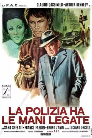 Полиция в замешательстве (1975)