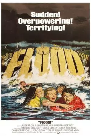 Наводнение! (1976)