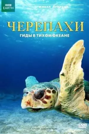 Черепахи: Гиды в Тихом океане (2008)
