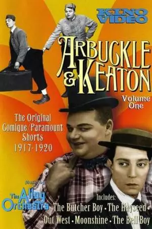 Помощник мясника (1917)