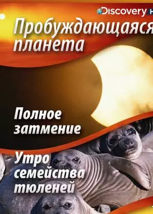 Пробуждающаяся планета (2004)